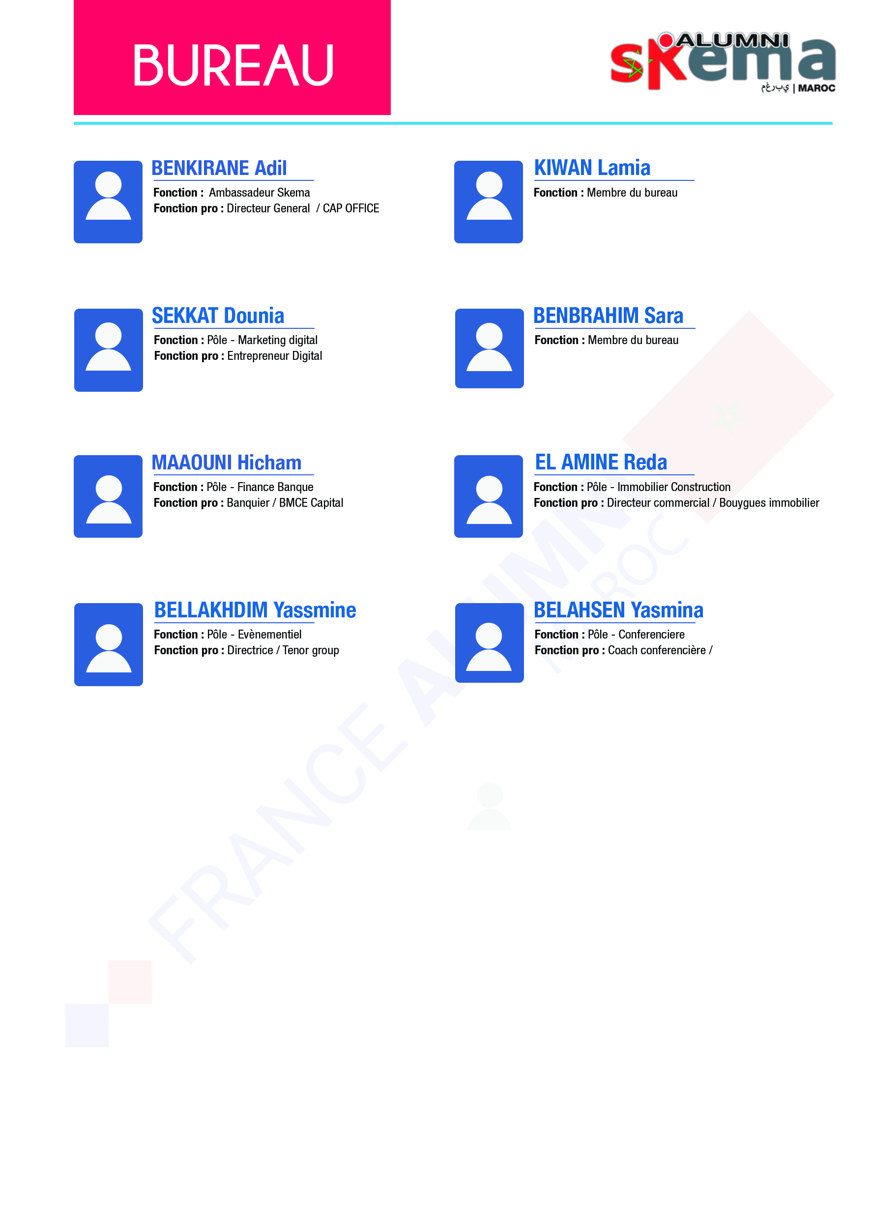 1512748109-skema-bureau-annuaire-france-alumni.jpg